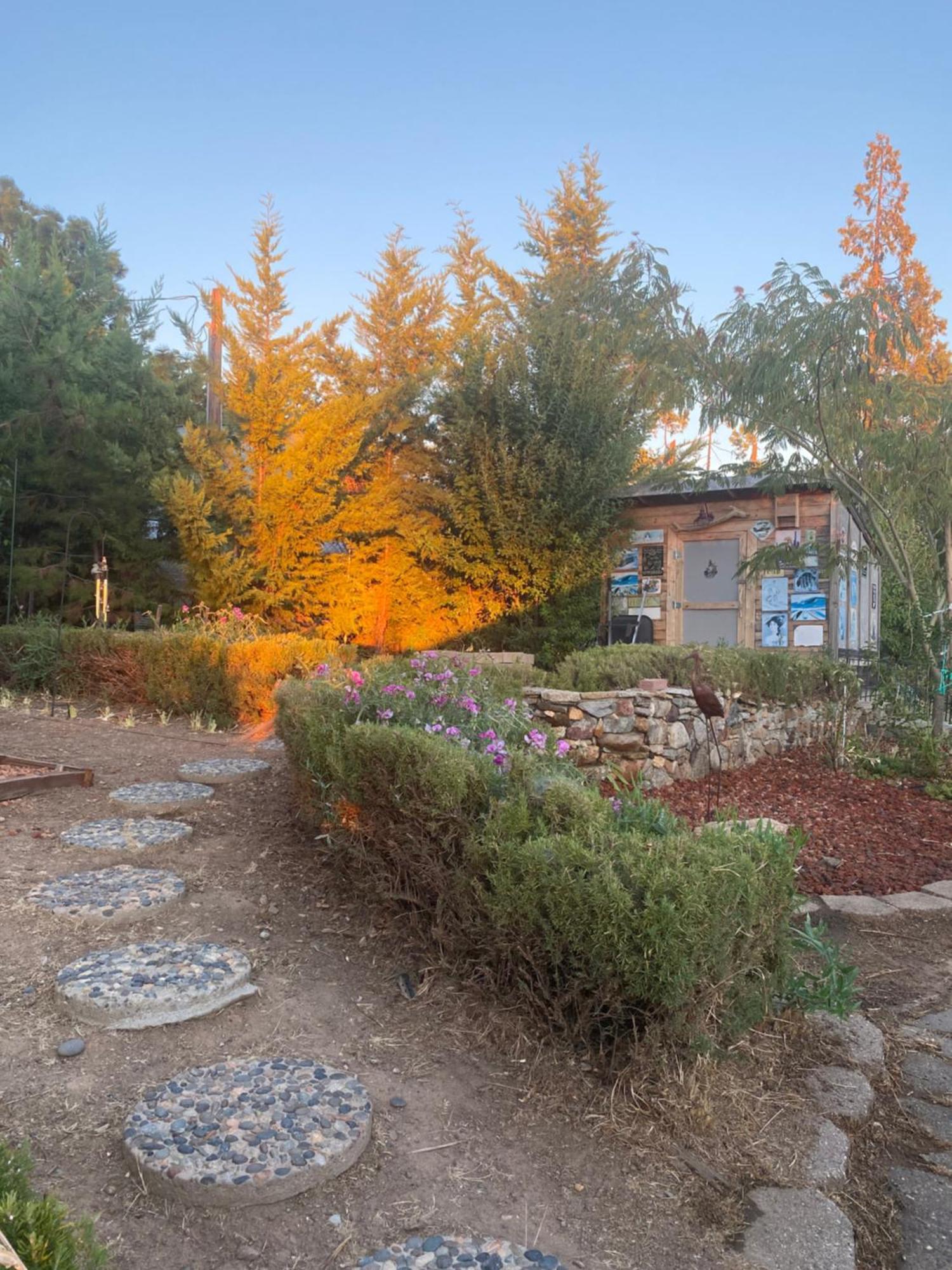 The Hilltop In Bass Heights Casa vacanze Oakhurst